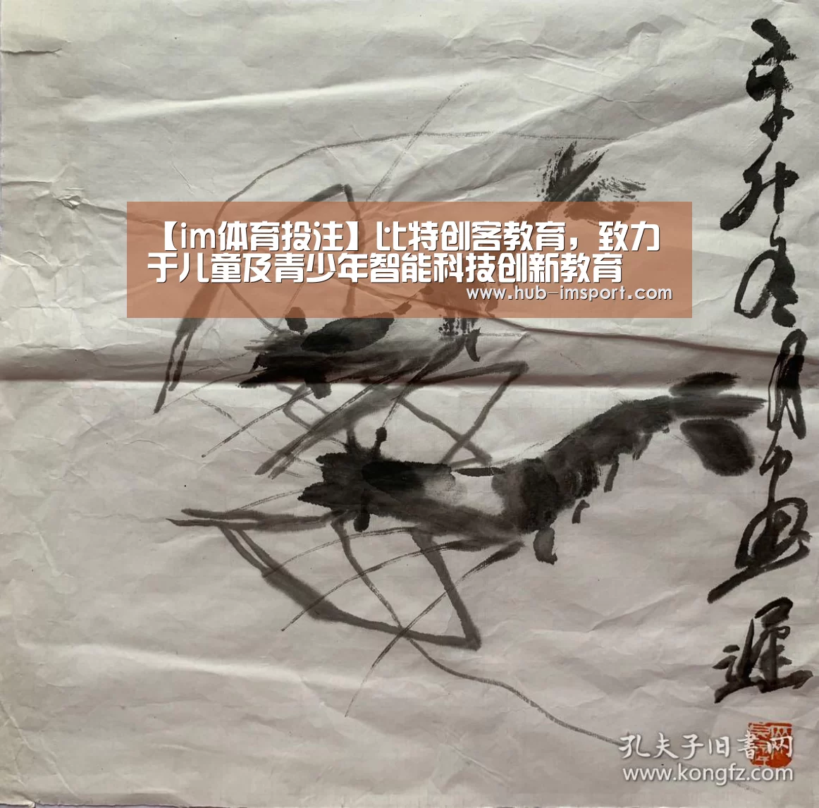 【im体育投注】比特创客教育,致力于儿童及青少年智能科技创新教育(图1) im体育下载