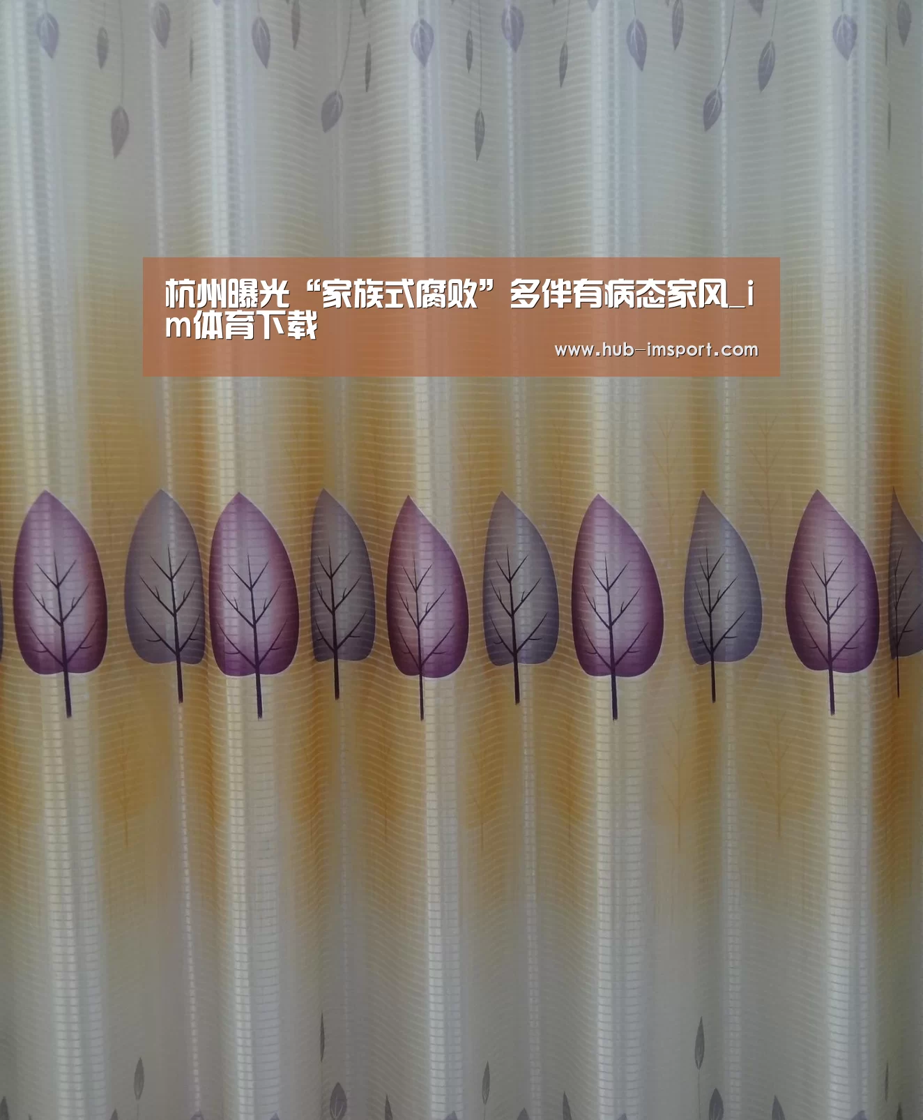 杭州曝光“家族式腐败”多伴有病态家风_im体育下载(图1) im体育