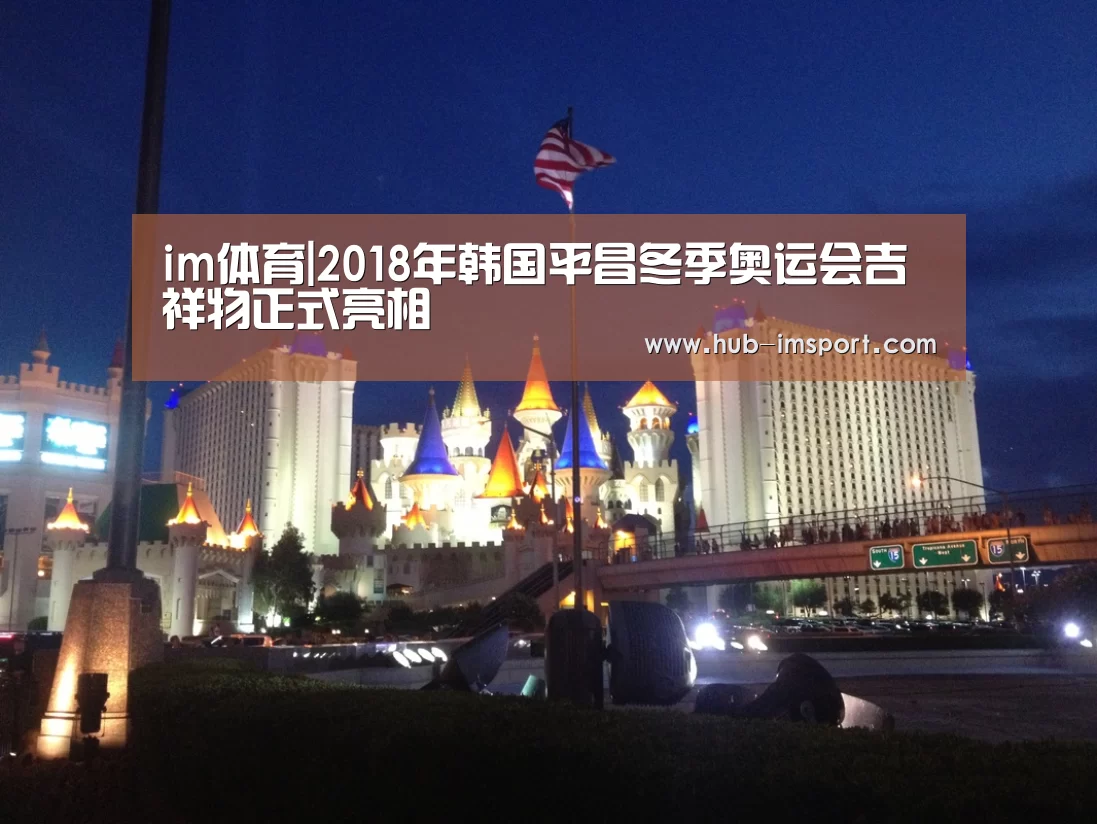 im体育|2018年韩国平昌冬季奥运会吉祥物正式亮相(图2) im体育官网