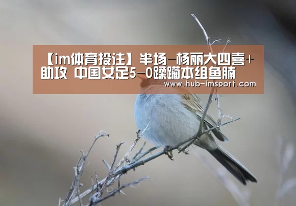 【im体育投注】半场-杨丽大四喜+助攻 中国女足5-0蹂躏本组鱼腩(图2) im体育下载