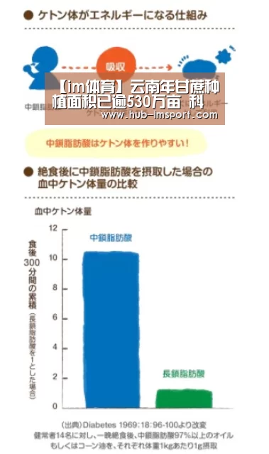 【im体育】云南年甘蔗种植面积已逾530万亩 科技引领产业升级(图2) im体育投注