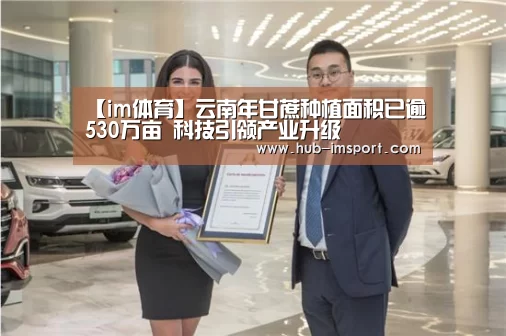 【im体育】云南年甘蔗种植面积已逾530万亩 科技引领产业升级(图4) im体育